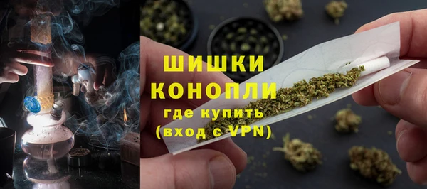 эйфоретик Вуктыл