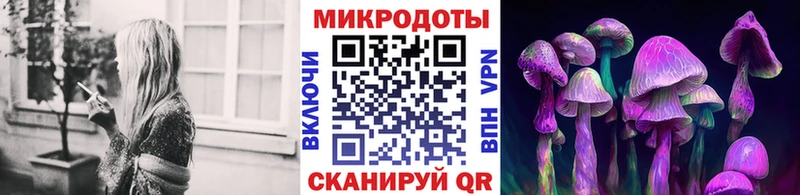 blacksprut рабочий сайт  Камышлов  Галлюциногенные грибы мицелий  дарнет шоп 