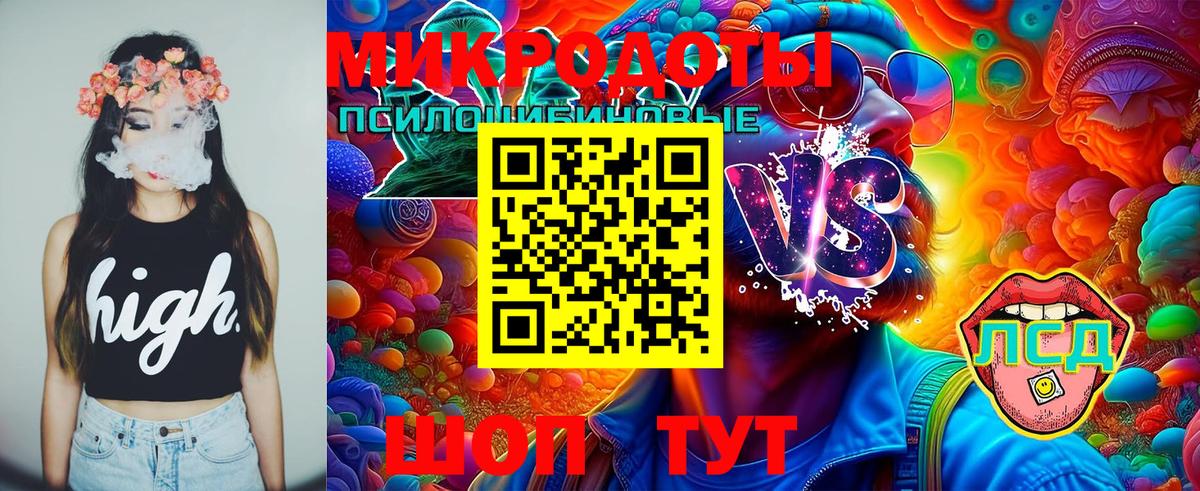 Галлюциногенные грибы Psilocybe Камышлов