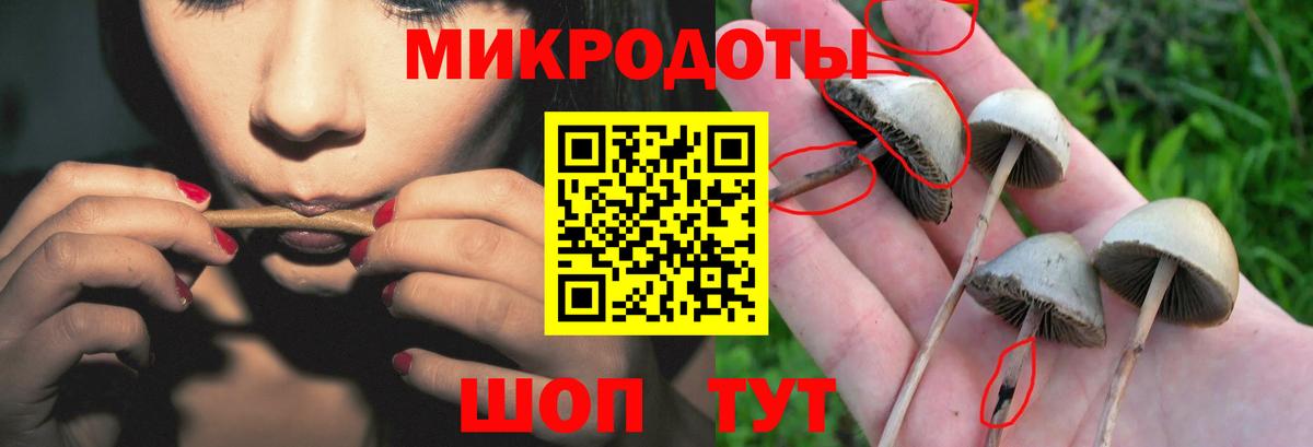 Псилоцибиновые грибы ЛСД  Псилоцибиновые грибы прущие грибы  Камышлов  Вход с VPN 